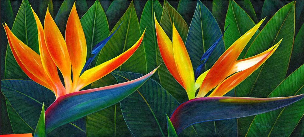 Birds of paradise, painting by Rosalez