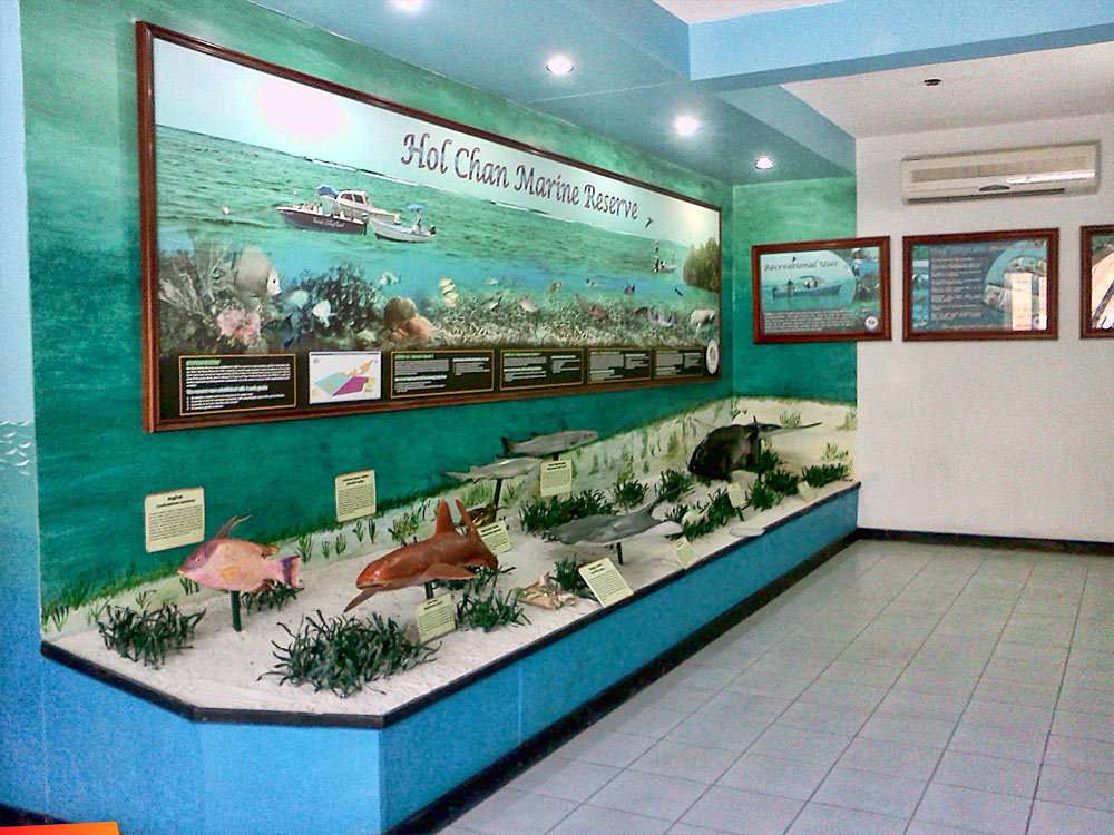 Hol Chan Marine Museum