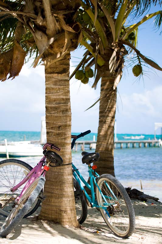 Bikes parked along the shore on Caye Caulker