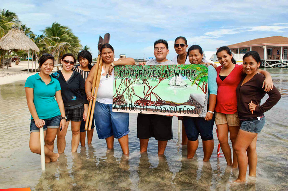 Plant mangroves ... Save our beach