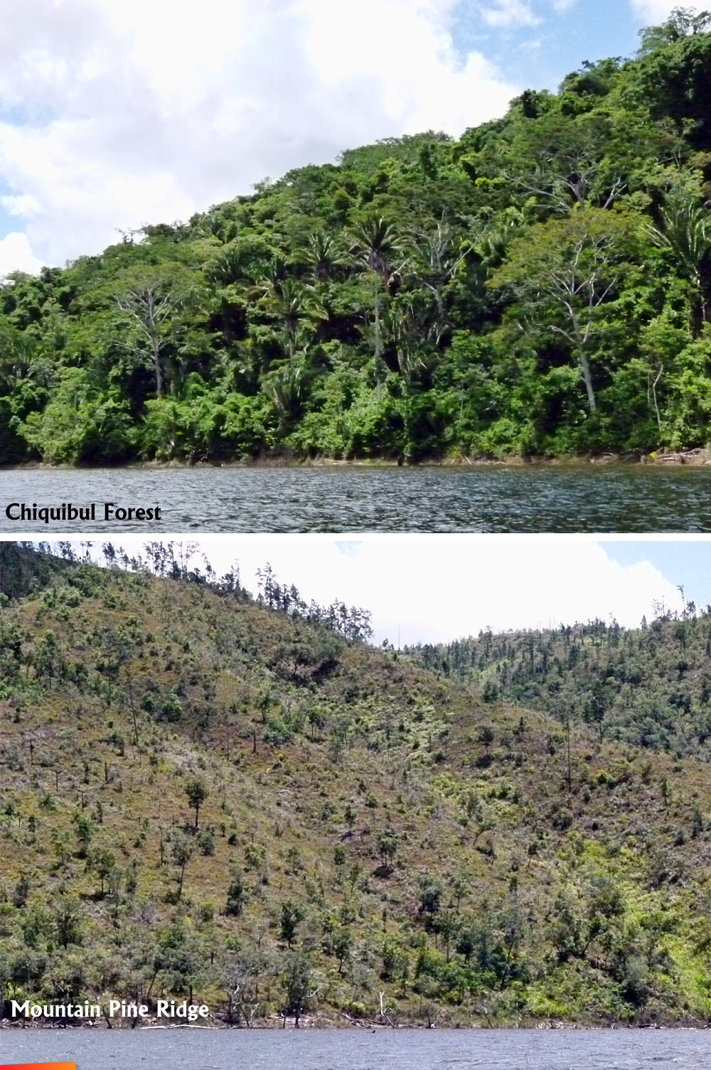 Comparing the west bank and the east bank of the Macal, Mountain Pine Ridge on the left, Chiquibul Forest on the right.