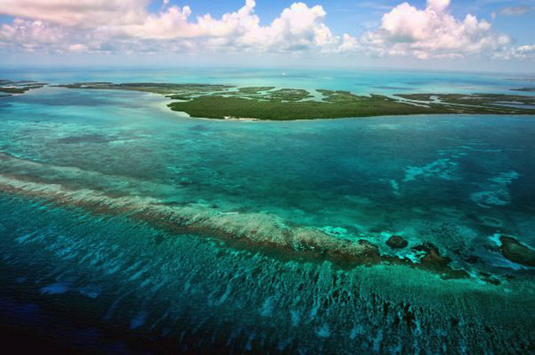 Reef at Gallows Point in Belize
