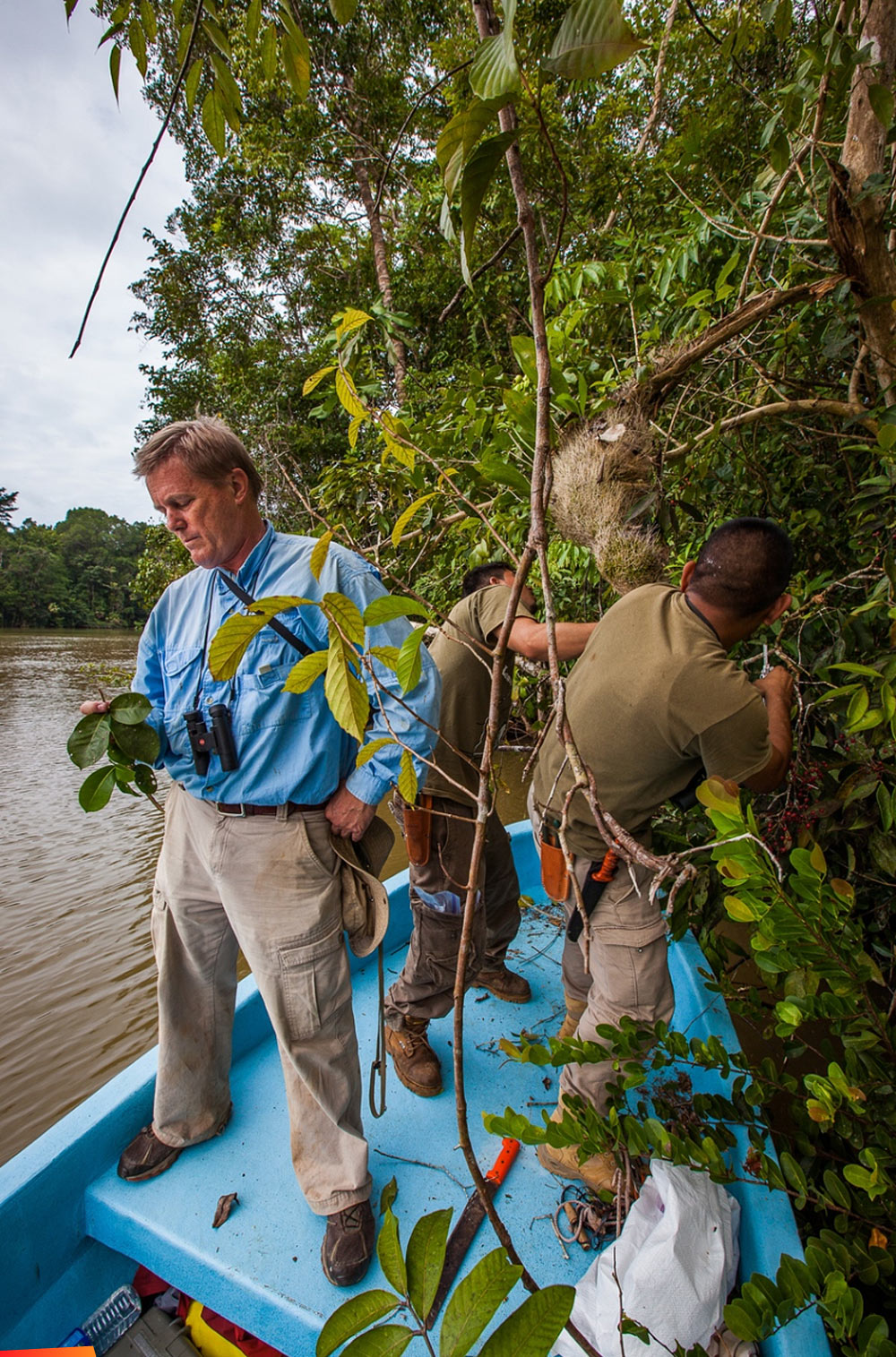 Studying and collecting epiphytes, Bruce studies the host tree leaves while Marvin and David prepare to collect.