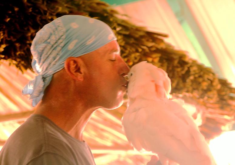 Avian love, Robert Vogues with his cockatoo