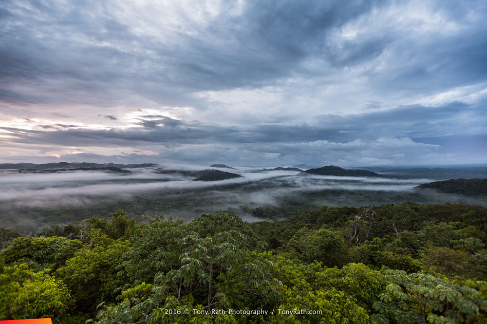 Misty clouds over the Chiquibul Forest
