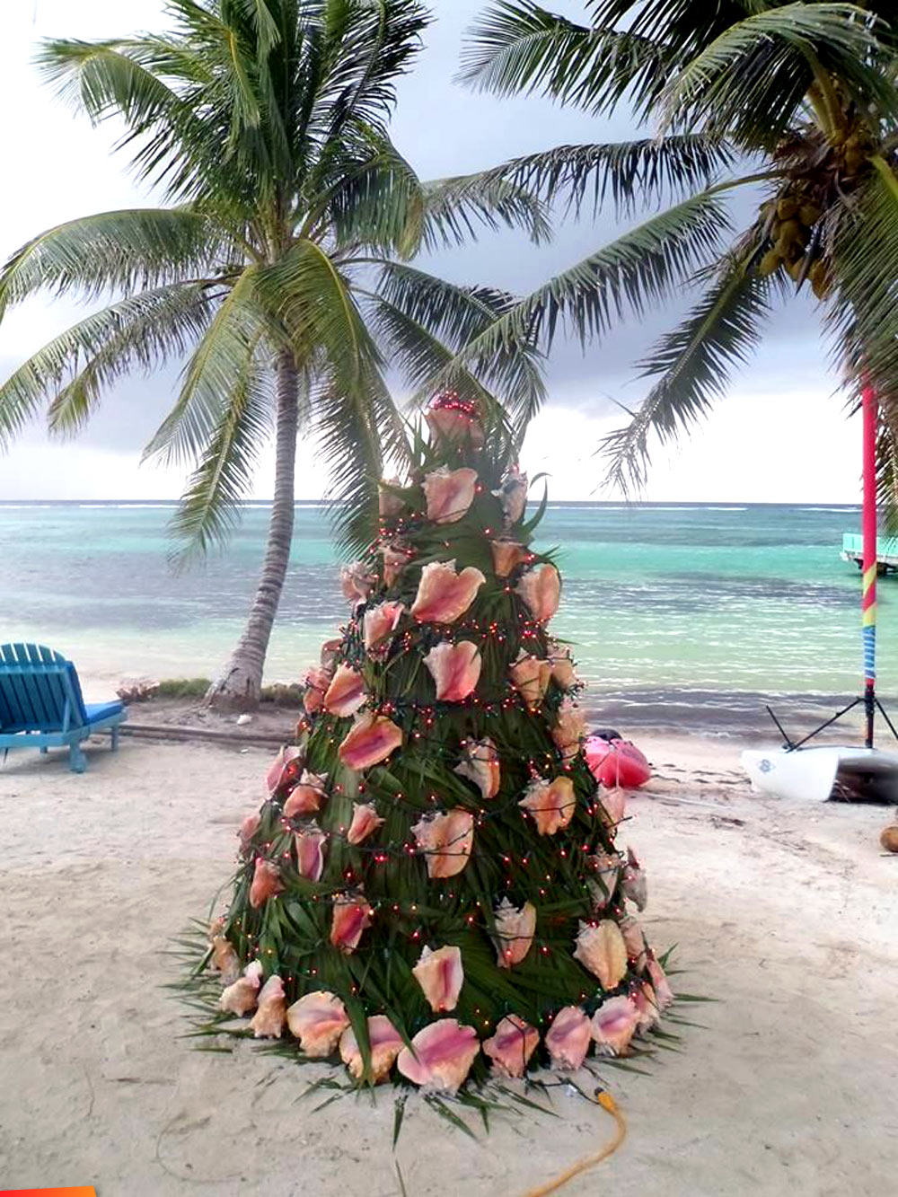 Christmas tree with conch shells for decoration, at Tranquility Bay