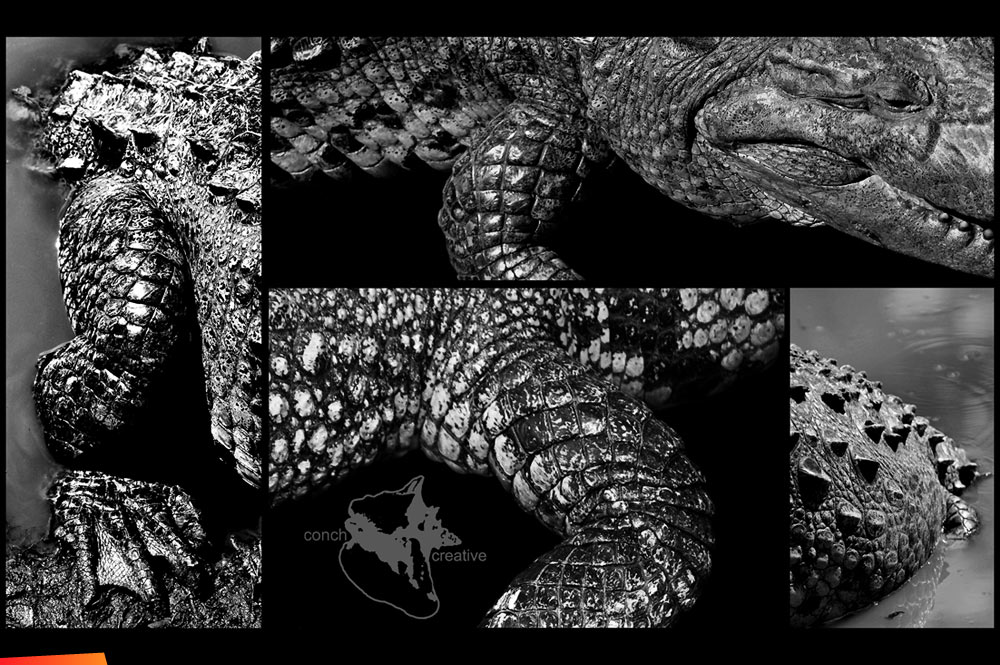 Croc parts ... detail ...