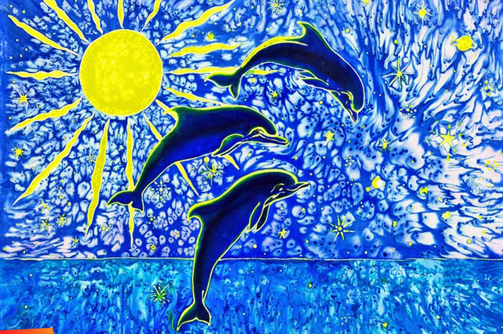 Dolphins in the sunshine