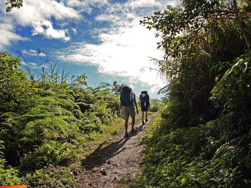 Hiking in Belize, on the trail... 