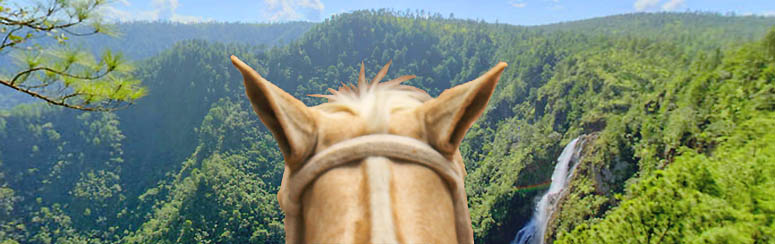Horseback in Belize, looking out over 1000 Foot Falls....