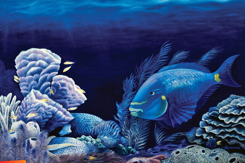 Lighthouse Reef underwater scene