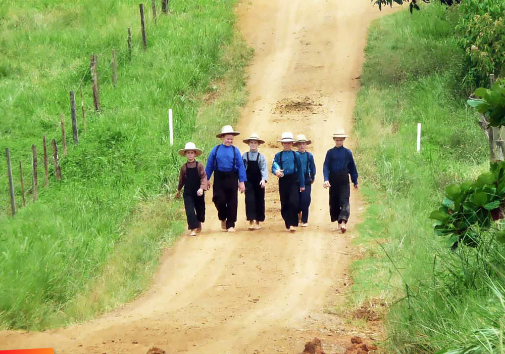 Mennonite children walking down the road
