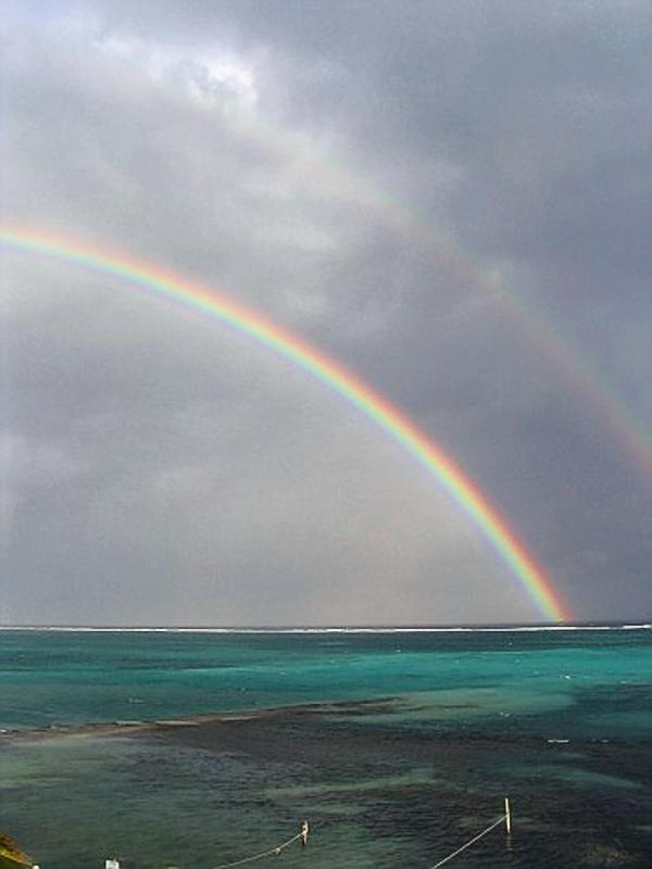Rainbow over the reef