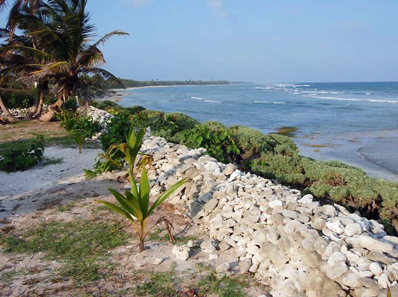 Robles Point on north Ambergris Caye