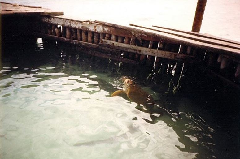 Tackle Box aquarium in the 1970's