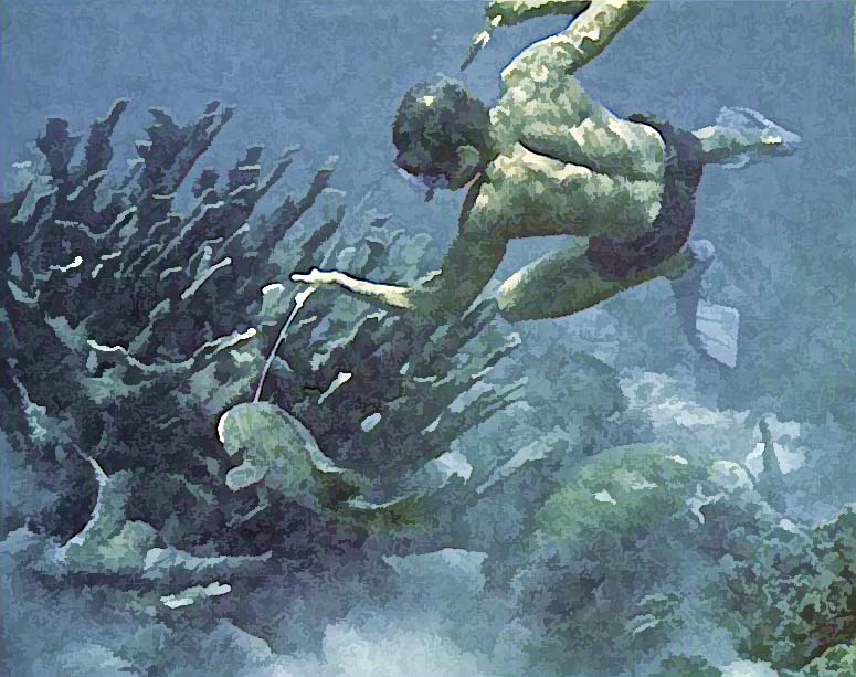 Villamar Godfrey diving, 1971