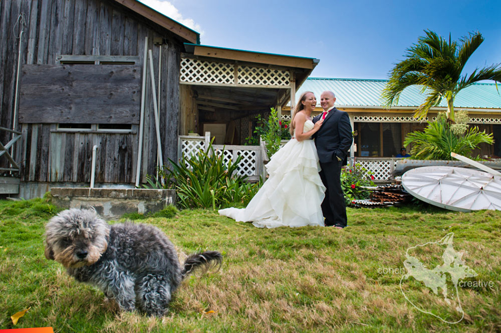 Dog photobombs the wedding