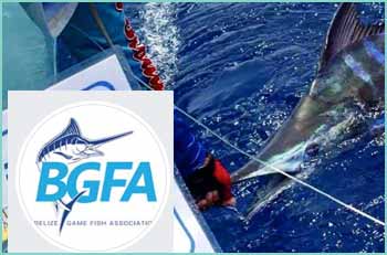 An association of fishermen and women in Belize, organizing offshore saltwater fishing tournaments, maintaining country records, and promoting the sport of fishing throughout Belize.