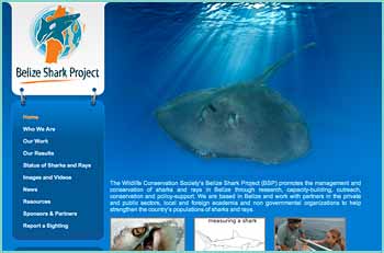 The Wildlife Conservation Society’s Belize Shark Project (BSP) promotes the management and conservation of sharks and rays in Belize through research, capacity-building, outreach, conservation and policy-support. We are based in Belize and work with partners in the private and public sectors, local and foreign academia and non governmental organizations to help strengthen the country’s populations of sharks and rays.