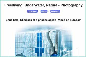 Jayhem's Freediving, Underwater and Nature Photography Blog