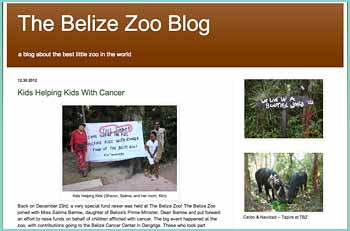 This blog is designed to tell stories and share information about The Belize Zoo. Once you've visited, you'll fall in love with its animals and the people who run the best little zoo in the world! Authors for this blog include: Sharon Matola, Founder and Director of The Belize Zoo, Tom Pasquarello of SUNY Cortland, and Nancy Kennedy of the Friends of the Belize Zoo.