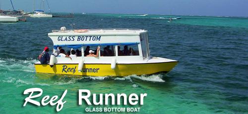 glass bottom boat tour belize