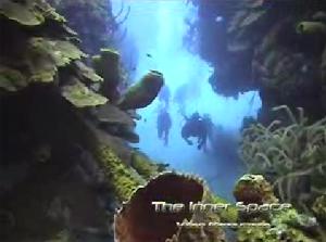 Video of  Lighthouse Reef Dive