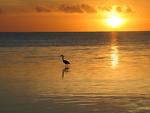 Sunrise at Belizean Shores
