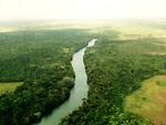 Belize River from the air