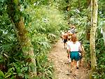 Jungle trail at Lamanai